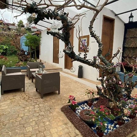 Hotel Boutique Amorini San Cristóbal de Las Casas Extérieur photo